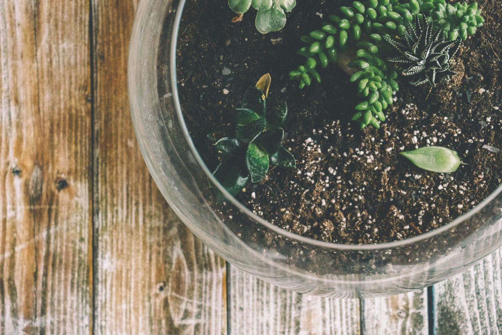 Terrarium filled with colorful beads and stones