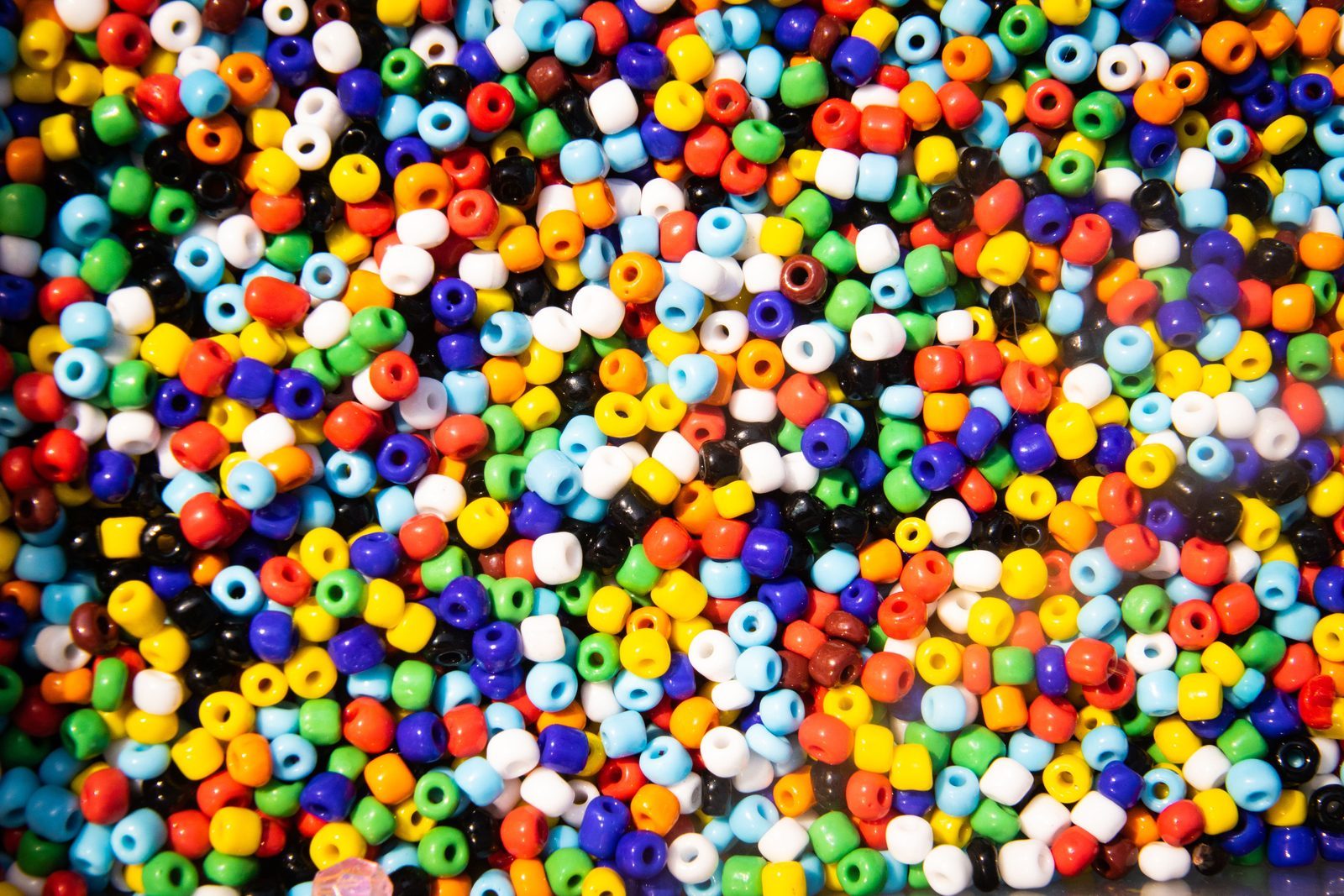 Detailed findings kit contents
